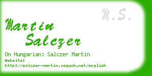 martin salczer business card